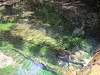 s_PICT0100_thumb.png
